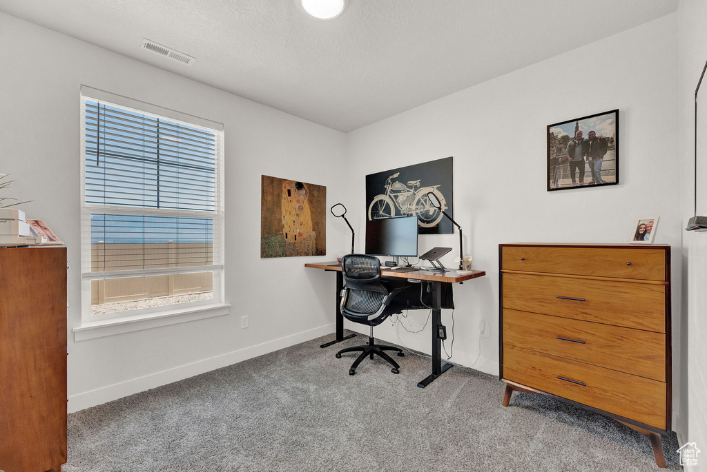 Carpeted office space featuring a wealth of natural light