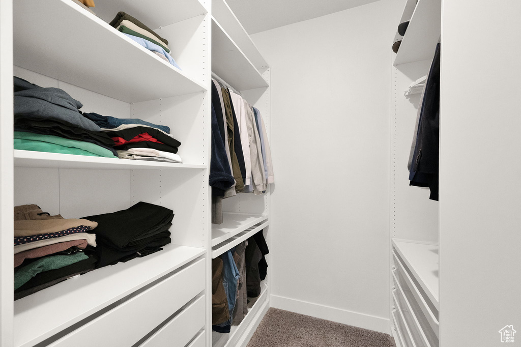 Spacious closet with carpet