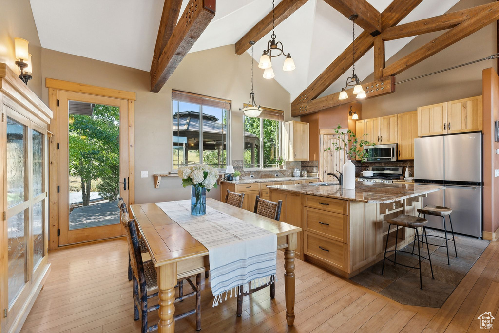 Kitchen with stainless steel appliances, a healthy amount of sunlight, pendant lighting, light hardwood / wood-style floors, and a kitchen island with sink