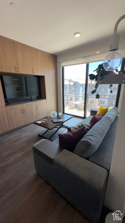 Living room with dark wood-type flooring