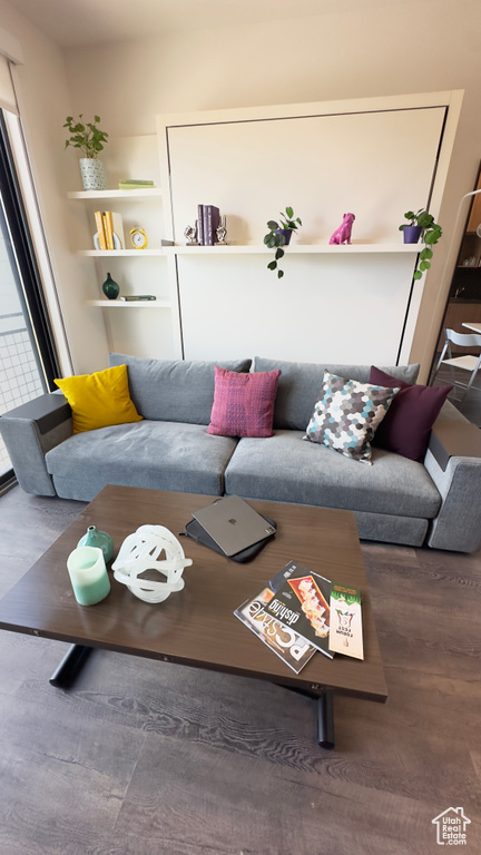 Living room featuring hardwood / wood-style floors