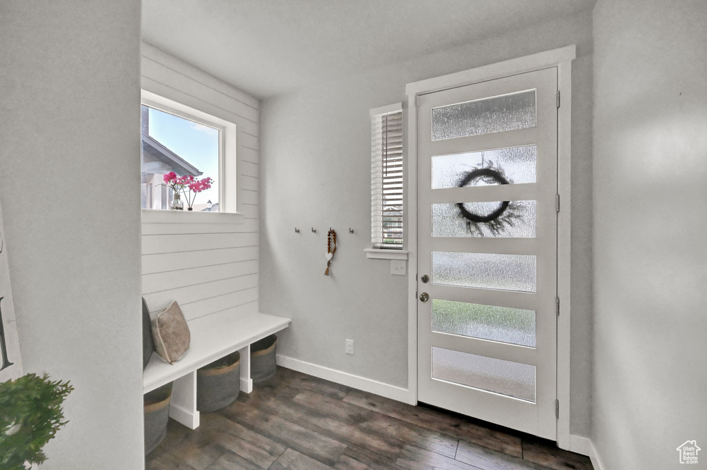 Mudroom featuring dark wood-type flooring