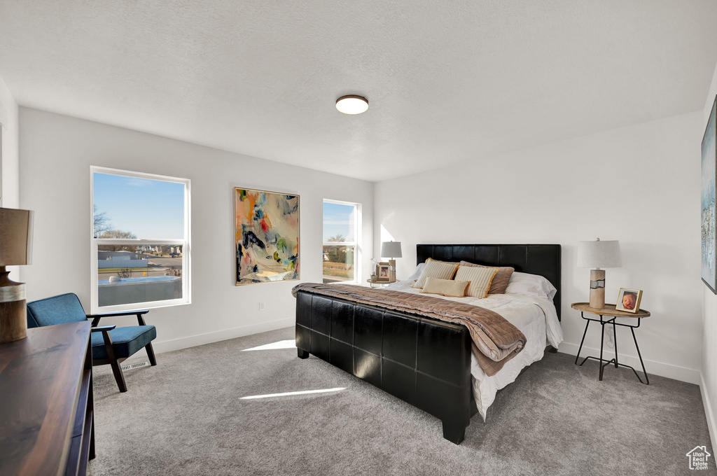 Carpeted bedroom with a textured ceiling and multiple windows