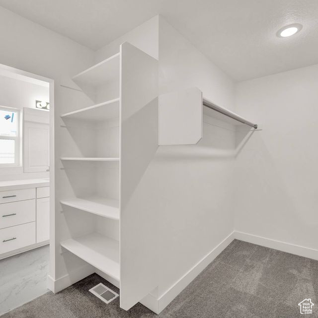 Walk in closet featuring carpet floors