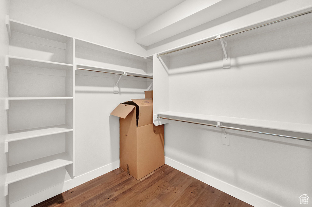 Walk in closet featuring hardwood / wood-style flooring