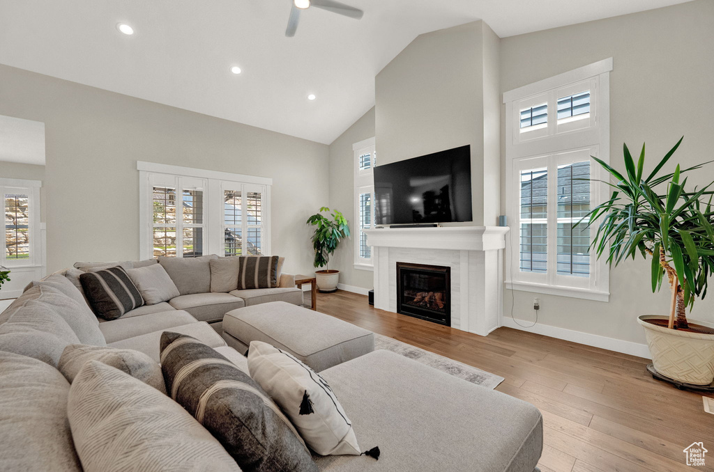 Living room with a fireplace, light hardwood / wood-style floors, and plenty of natural light