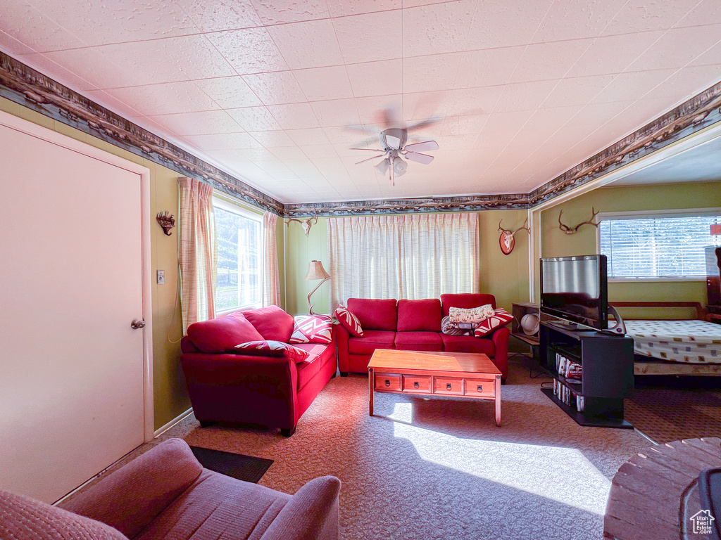 Living room with ceiling fan and carpet flooring