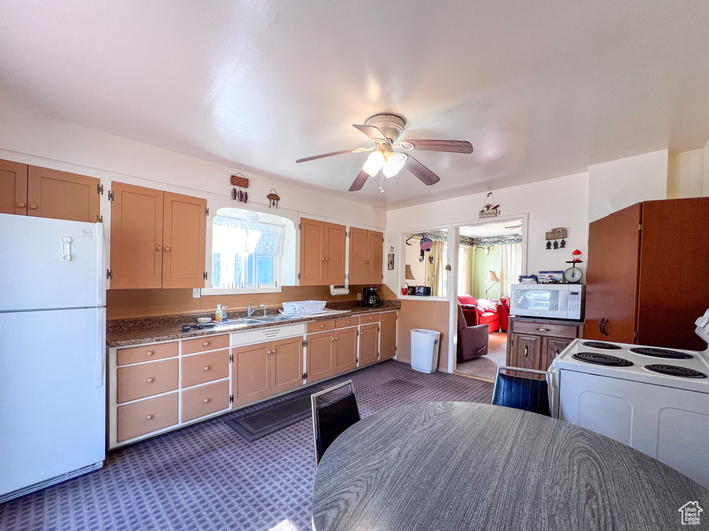 Kitchen with carpet, white appliances, sink, and ceiling fan