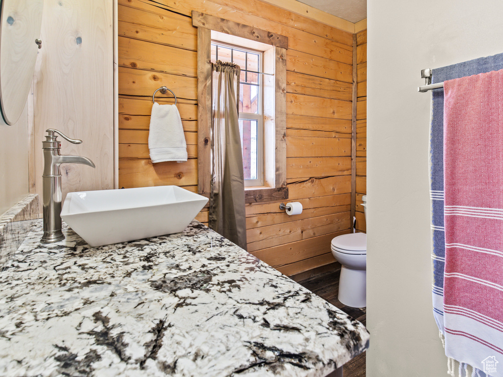 Bathroom with plenty of natural light, vanity, wood walls, and toilet