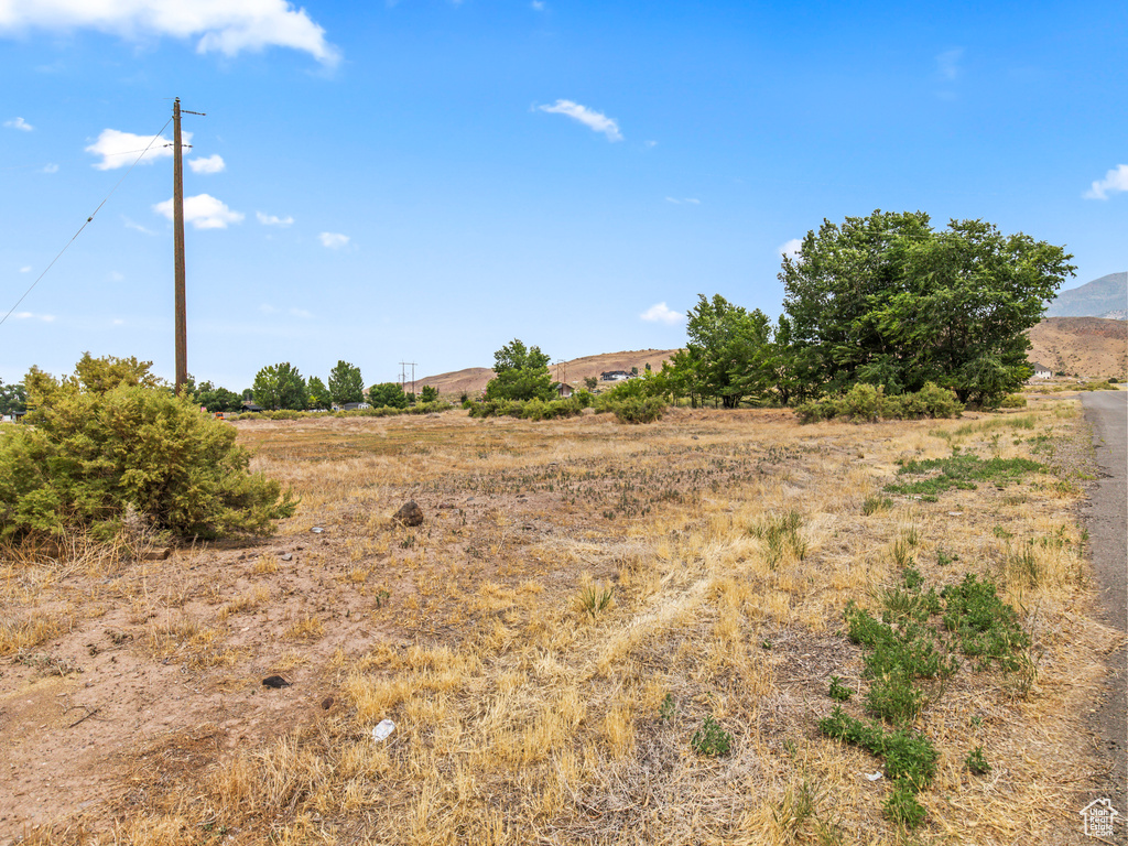 View of local wilderness featuring a rural view