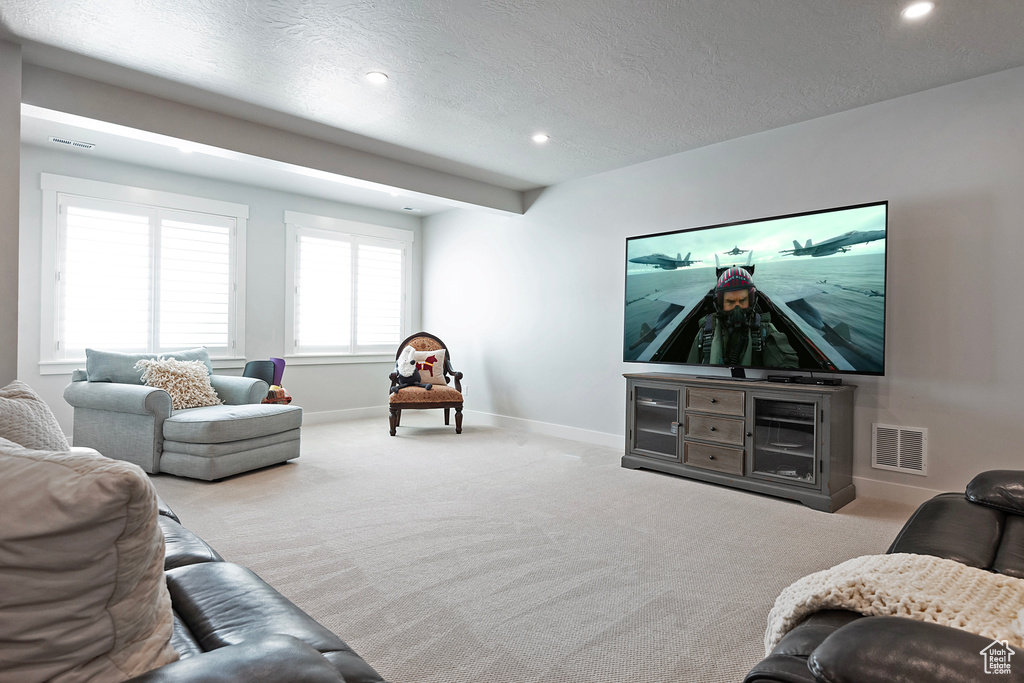 Carpeted living room with a textured ceiling