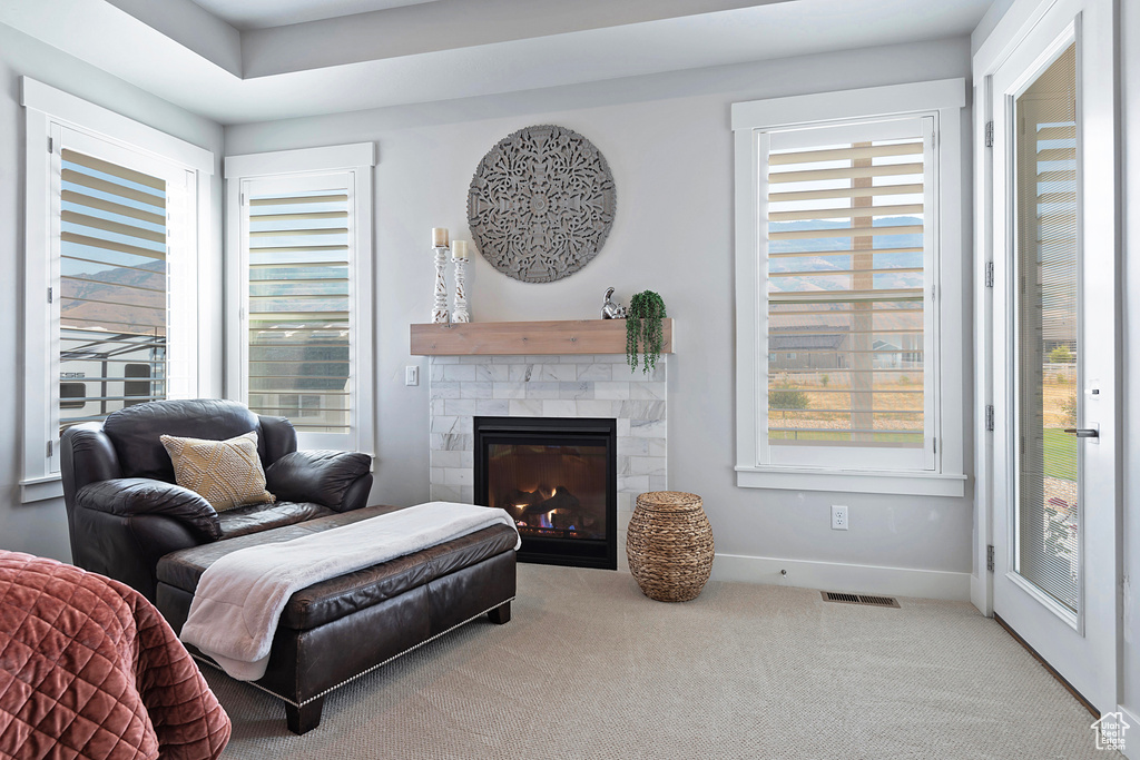 Sitting room with carpet flooring and a wealth of natural light