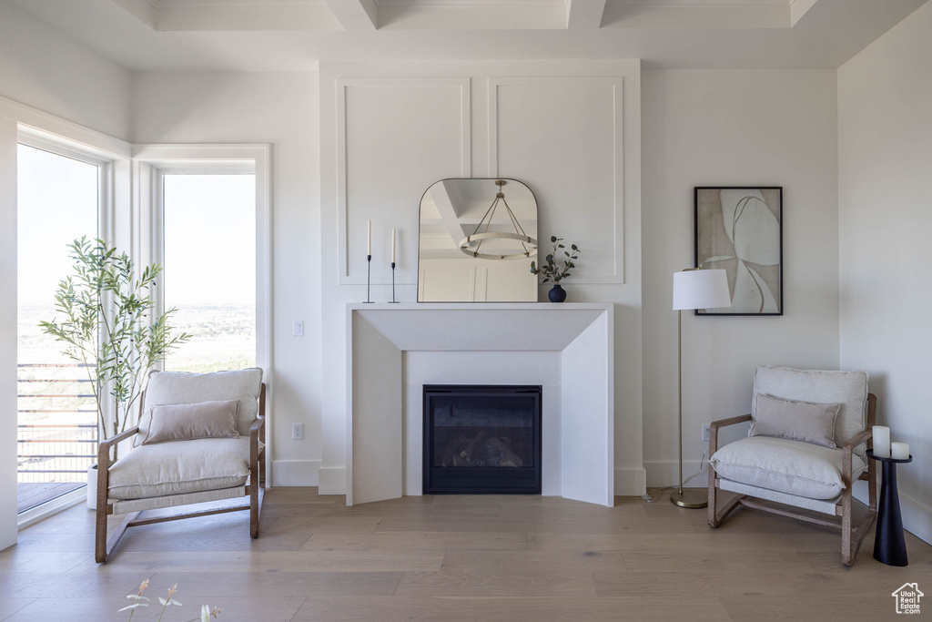 Sitting room featuring a healthy amount of sunlight and light wood-type flooring