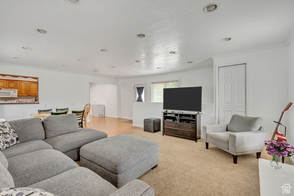 Carpeted living room with ornamental molding