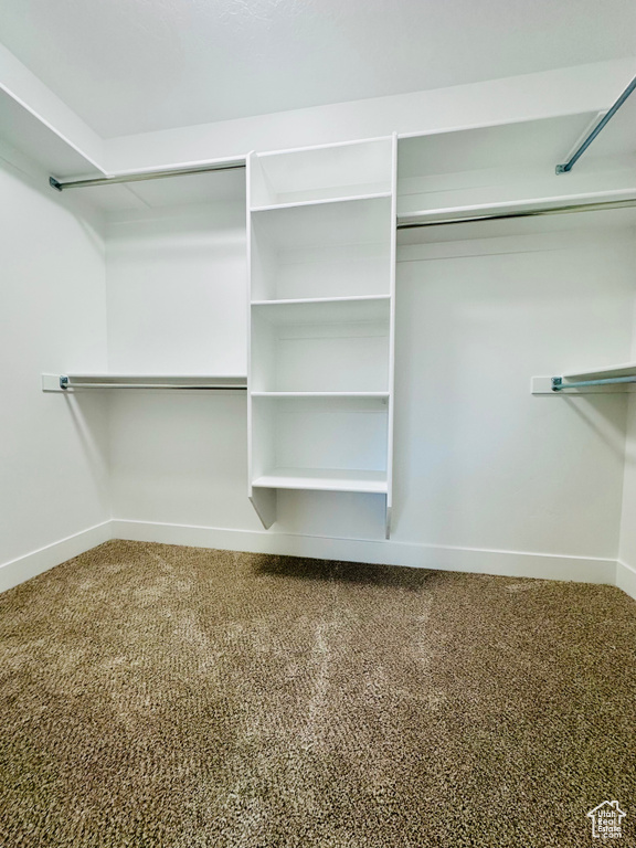 Walk in closet featuring carpet