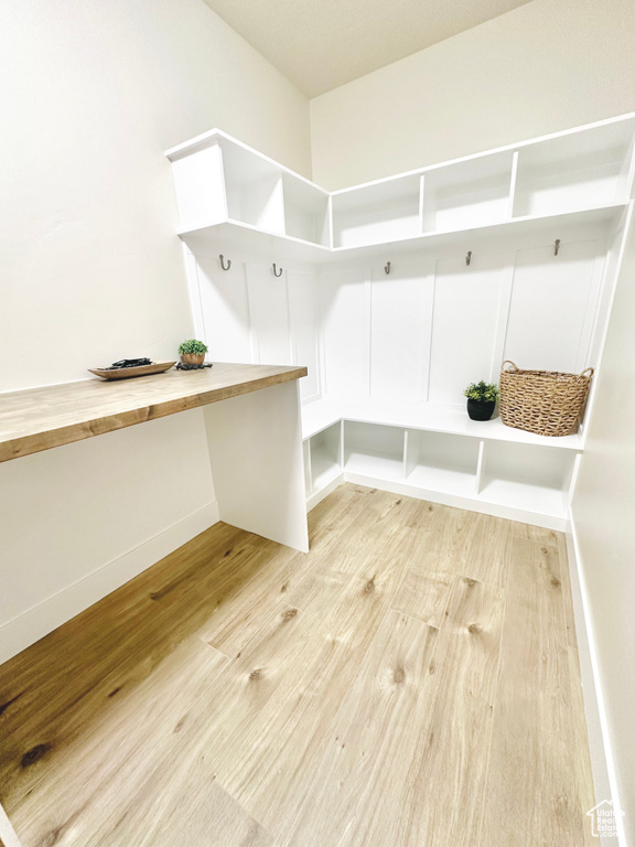 Mudroom with light hardwood / wood-style flooring