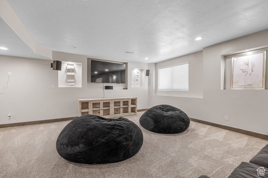 Carpeted living room with a textured ceiling