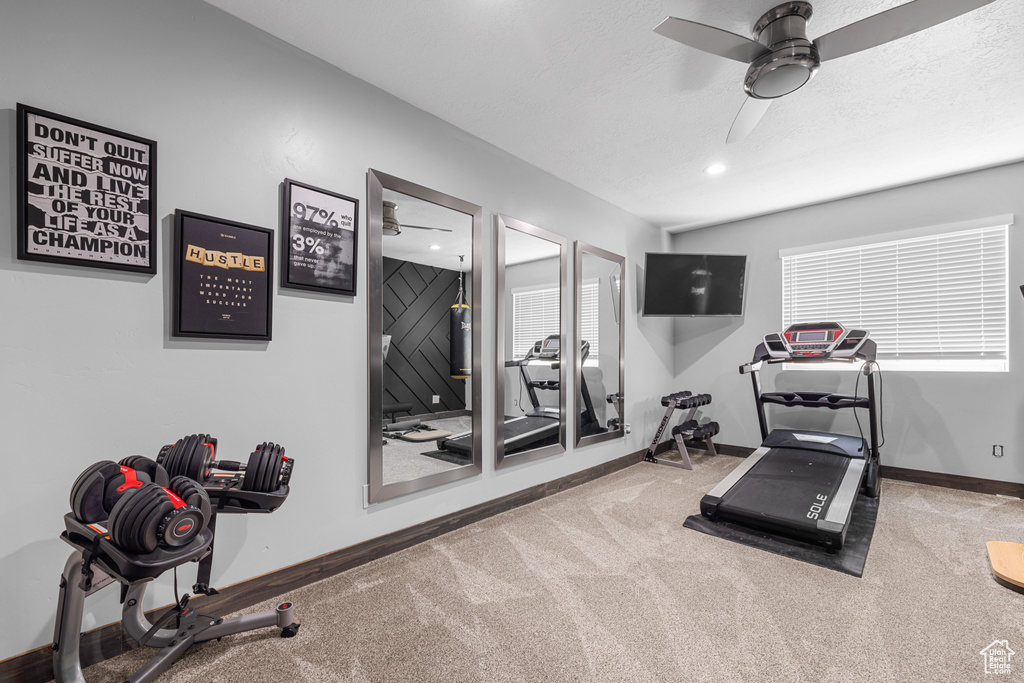 Workout area featuring carpet and ceiling fan