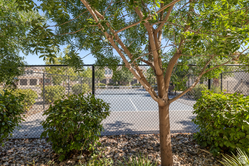 View of sport court