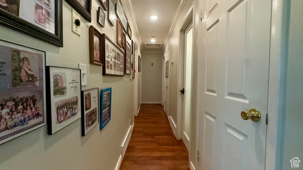 Corridor with crown molding and dark wood-type flooring