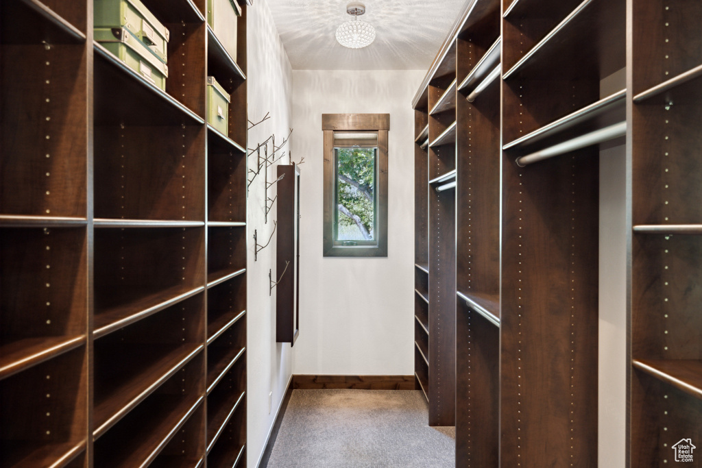 Walk in closet featuring carpet flooring