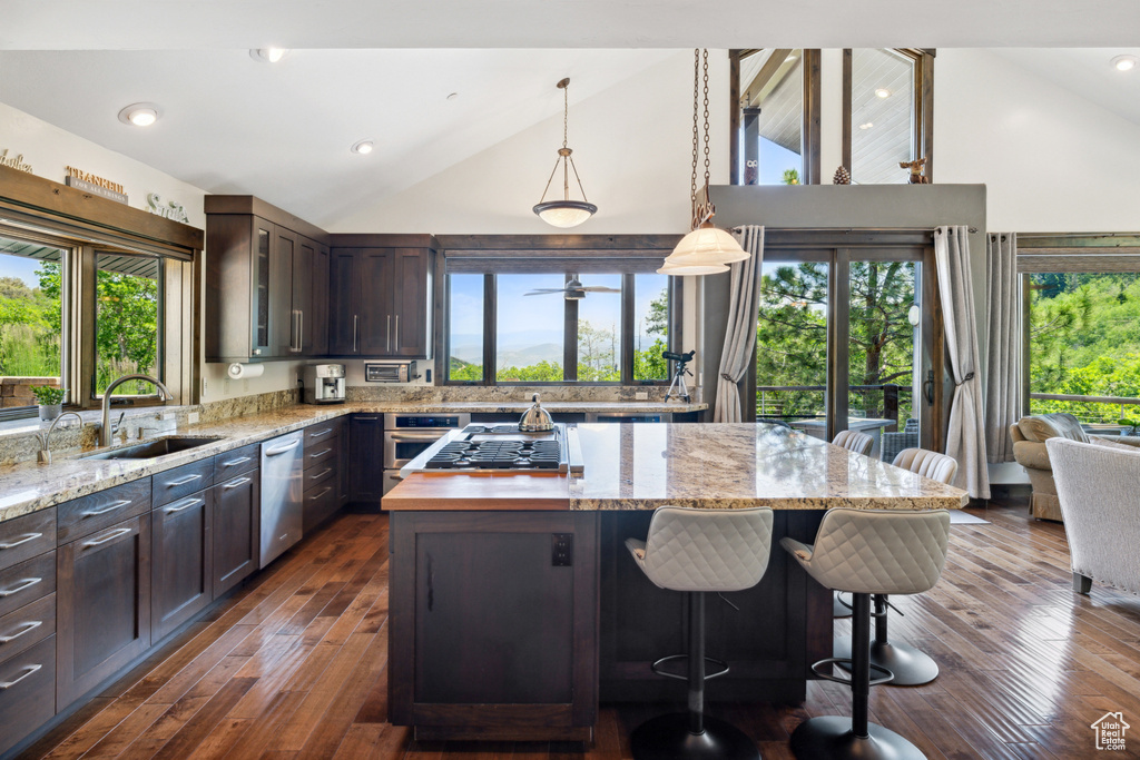 Kitchen with dark hardwood / wood-style floors, a healthy amount of sunlight, sink, and stainless steel appliances