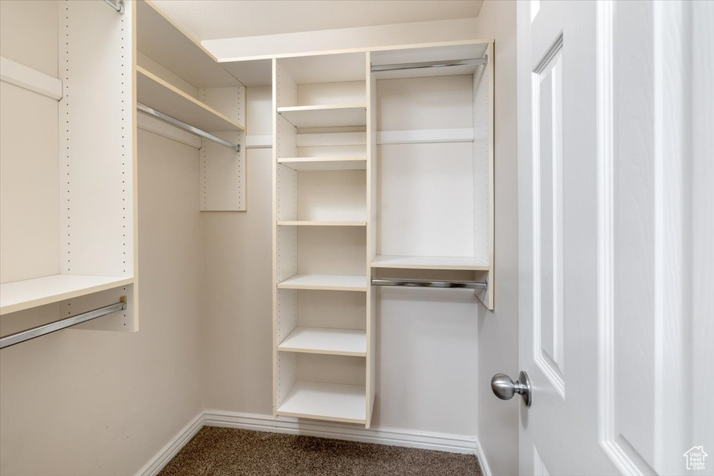 Walk in closet featuring carpet flooring