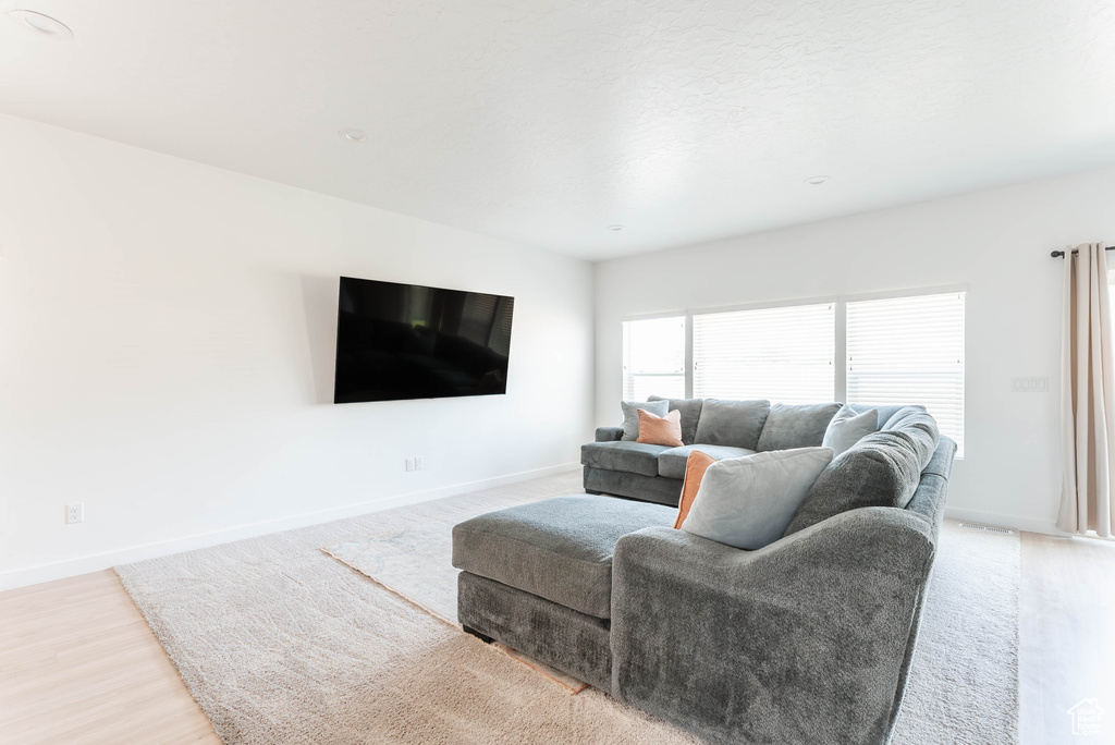 Living room featuring light hardwood / wood-style flooring