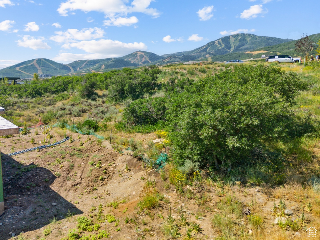 Property view of mountains