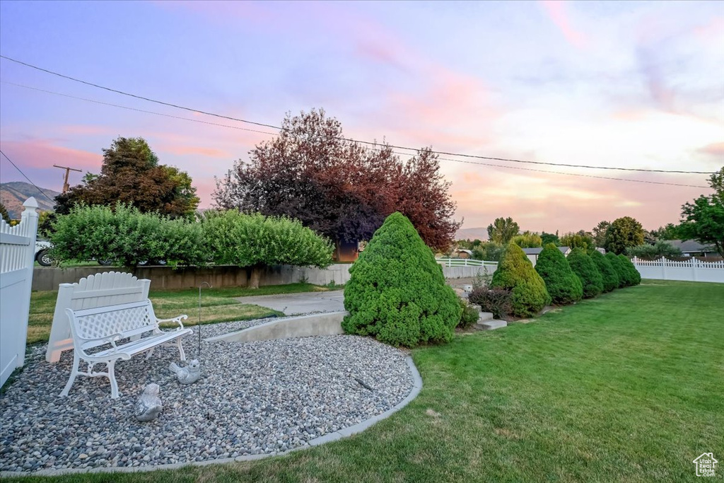 View of yard at dusk