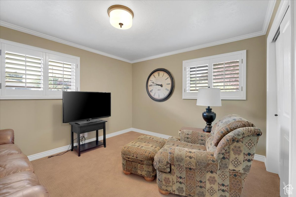 Living room featuring ornamental molding, carpet, and a healthy amount of sunlight