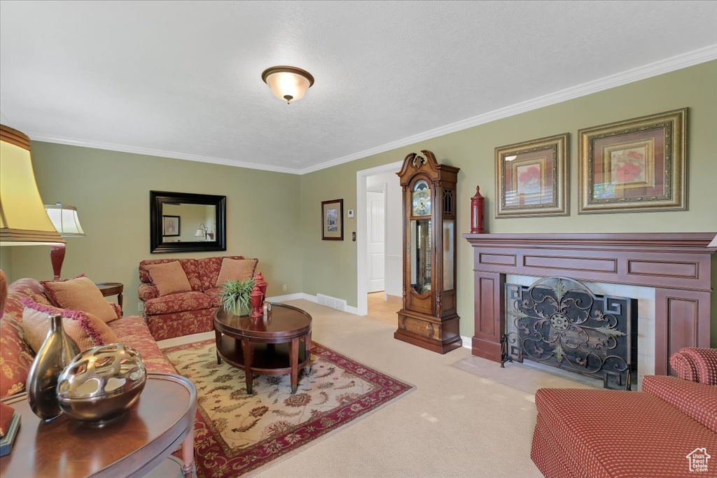 Carpeted living room featuring ornamental molding