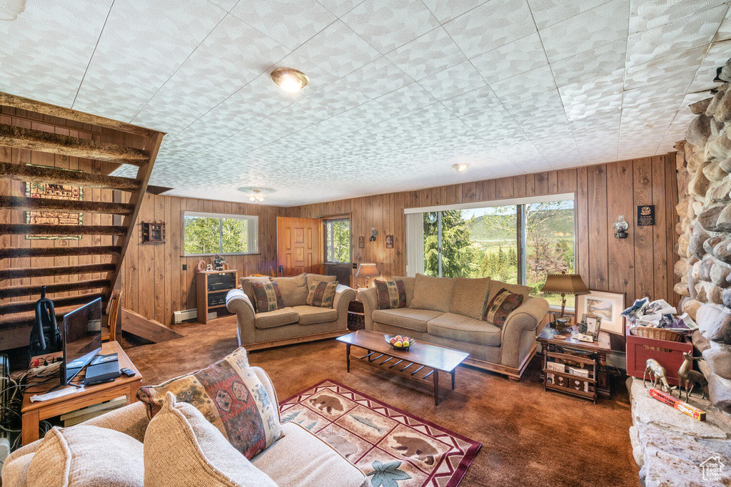 Carpeted living room with wood walls and a baseboard radiator