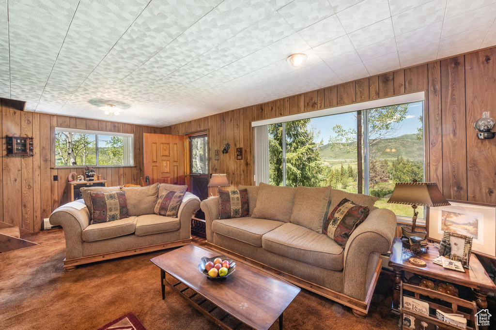 Living room with carpet flooring and wooden walls