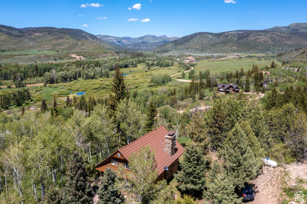 Aerial view with a mountain view