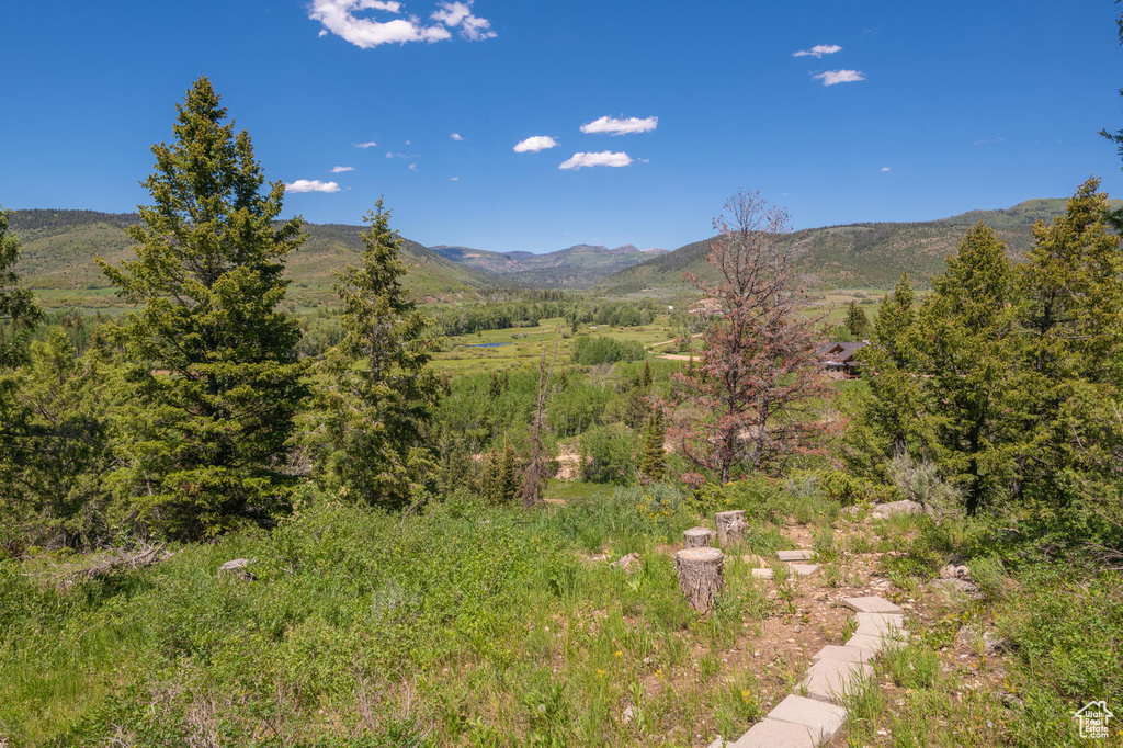 View of mountain feature