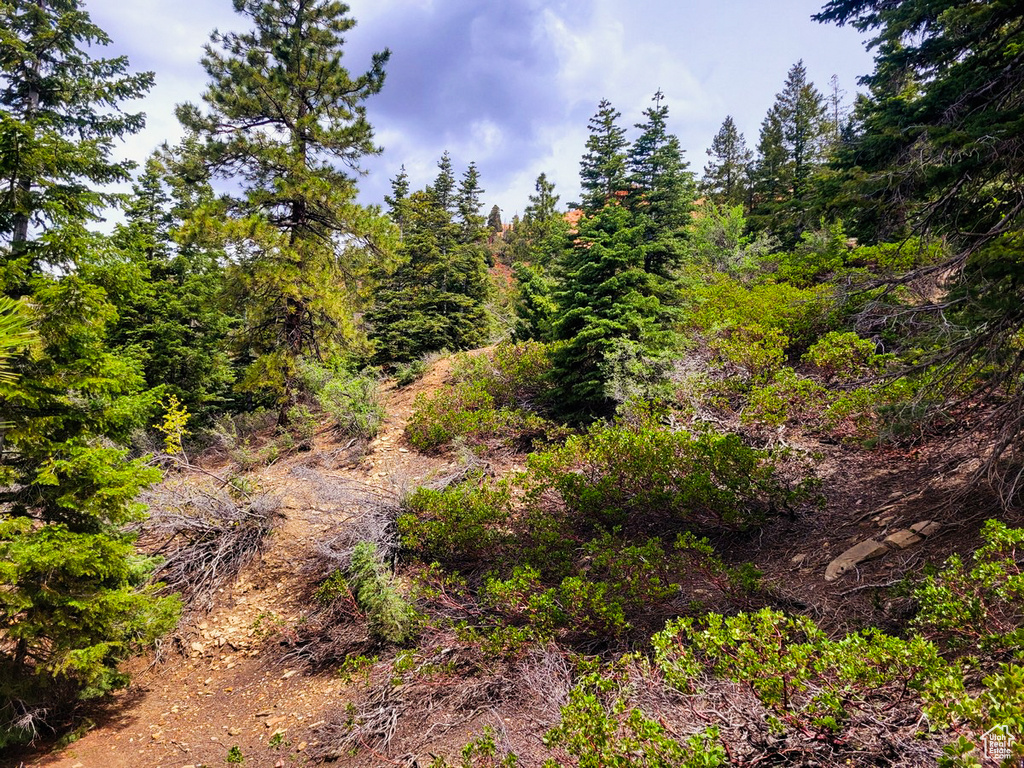 View of nature