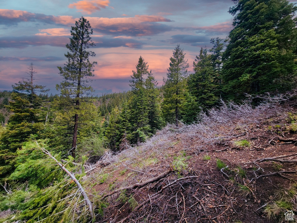 View of nature at dusk