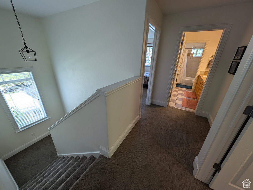 Hallway featuring a healthy amount of sunlight and dark tile patterned flooring