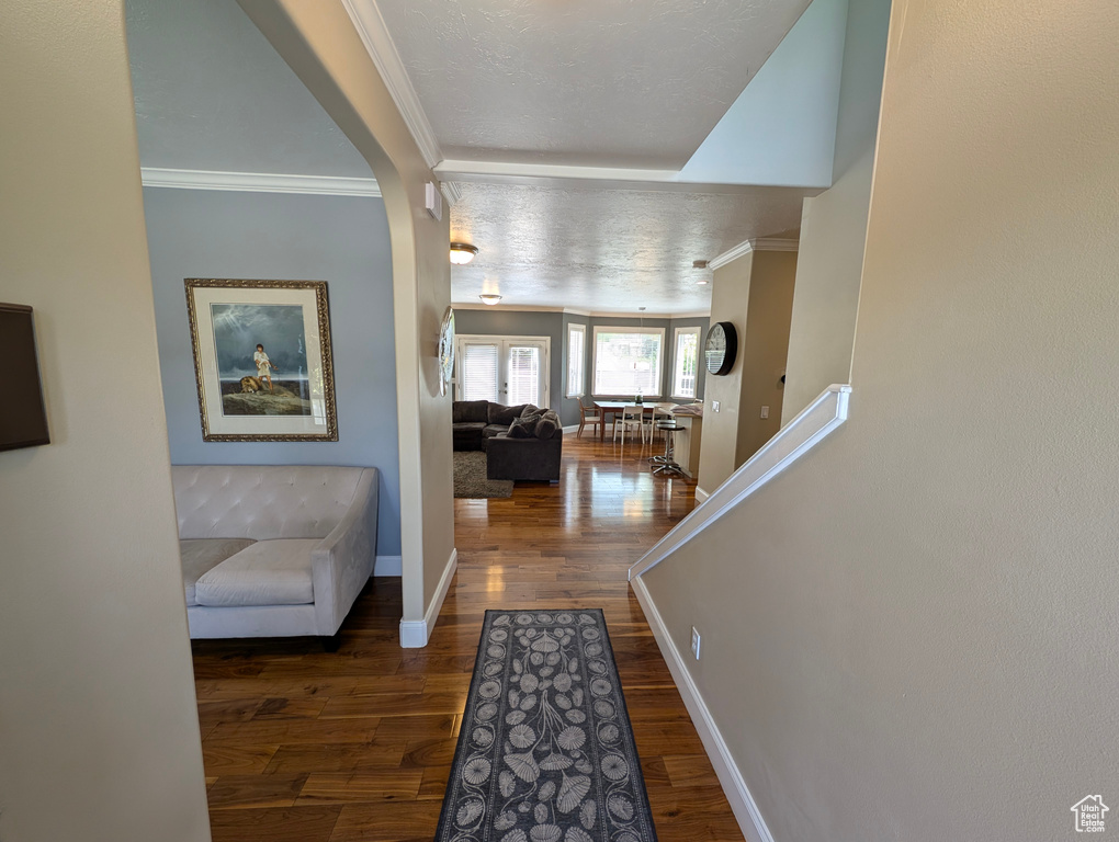 Interior space featuring a textured ceiling, crown molding, and dark hardwood / wood-style floors