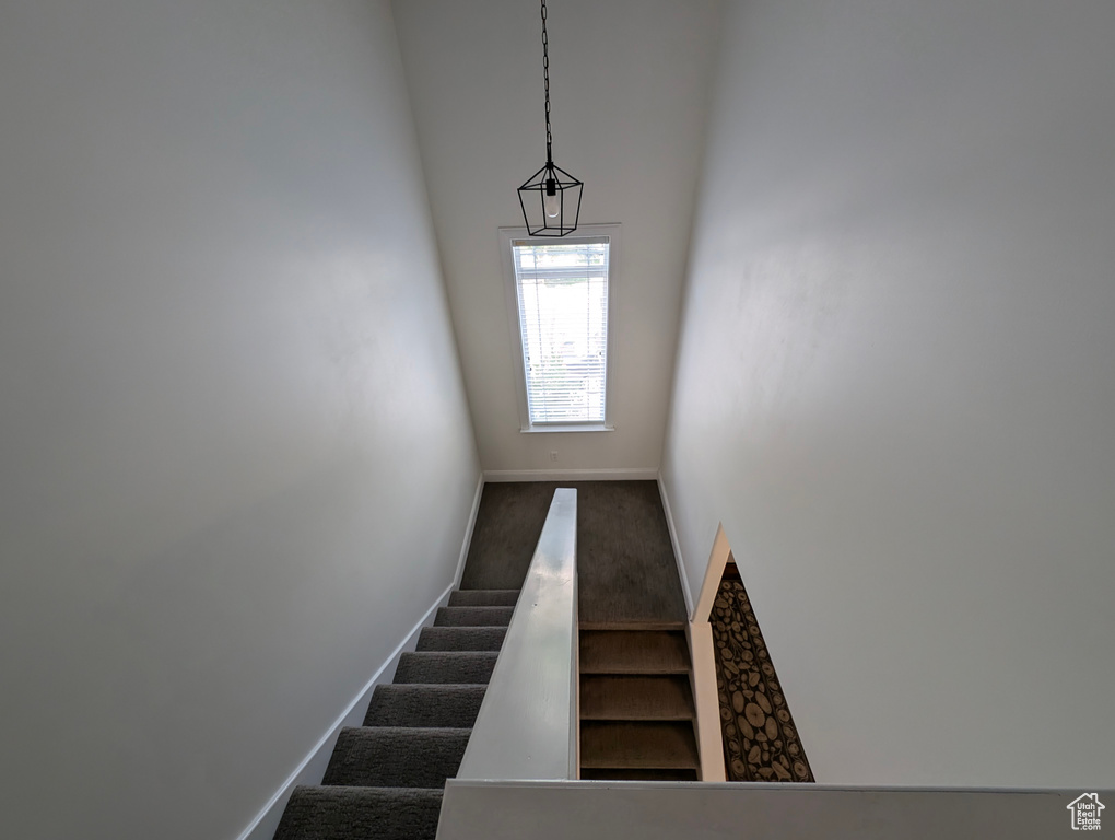 Staircase featuring dark wood-type flooring and a towering ceiling