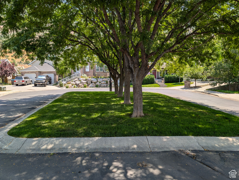 Obstructed view of property with a front lawn