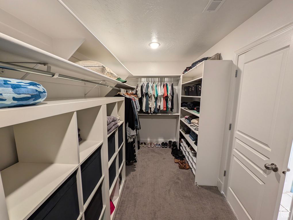 Spacious closet with carpet