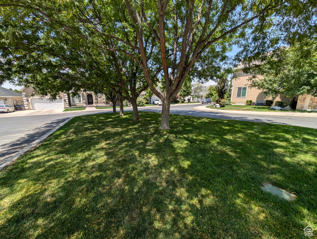 View of property hidden behind natural elements with a front yard