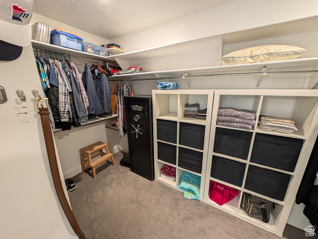 Spacious closet featuring carpet