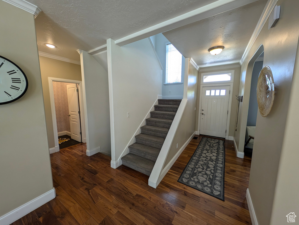 Entrance foyer with hardwood / wood-style flooring and ornamental molding