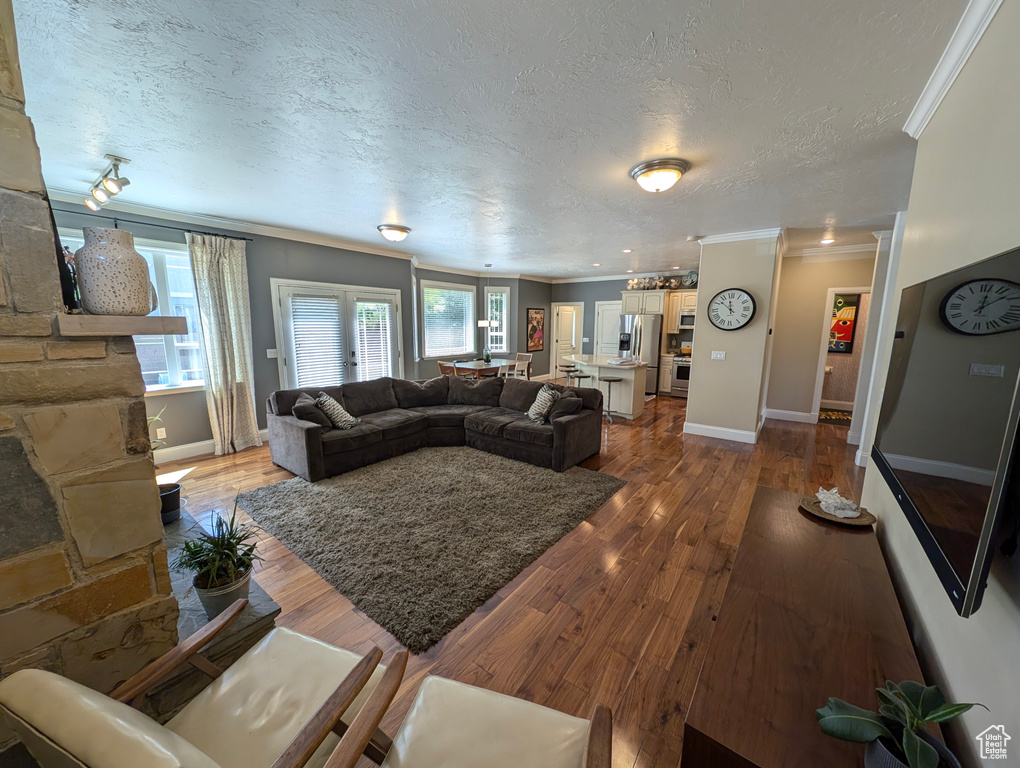 Living room featuring ornamental molding, a textured ceiling, and dark hardwood / wood-style floors