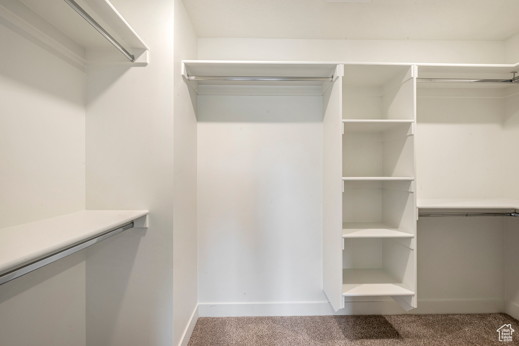 Walk in closet featuring carpet flooring