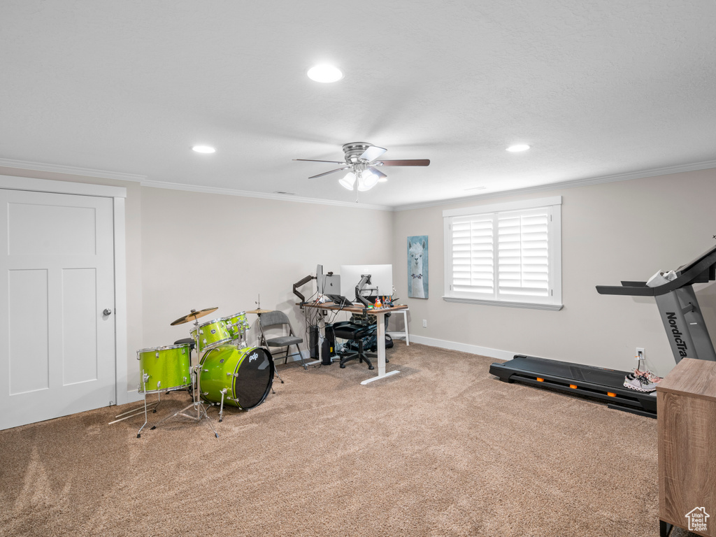 Workout room featuring ornamental molding, carpet, and ceiling fan