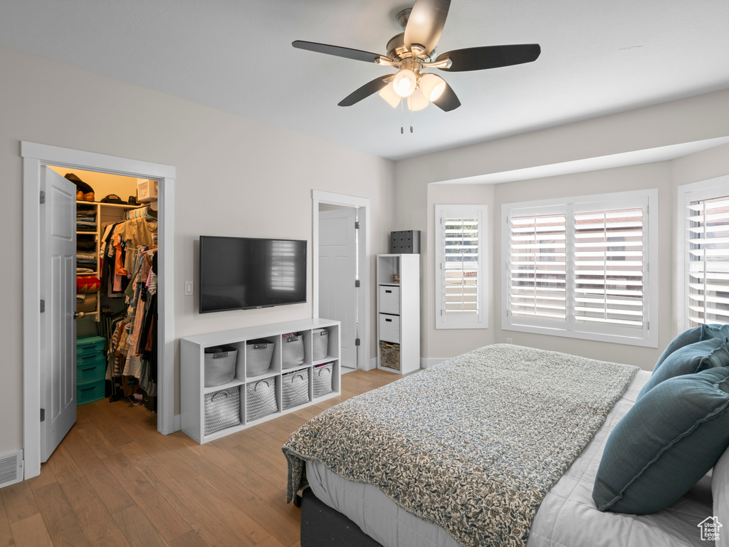 Bedroom featuring a spacious closet, ceiling fan, light hardwood / wood-style flooring, and a closet